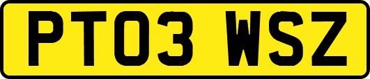 PT03WSZ
