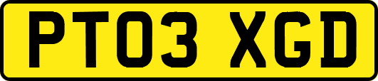 PT03XGD