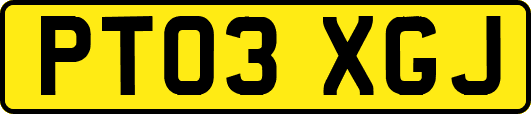 PT03XGJ