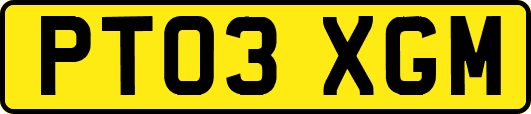 PT03XGM