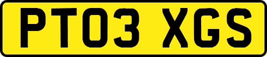 PT03XGS