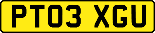 PT03XGU
