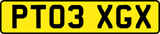 PT03XGX