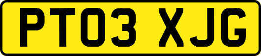 PT03XJG