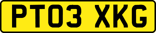 PT03XKG