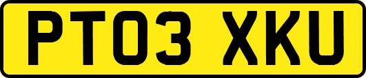 PT03XKU
