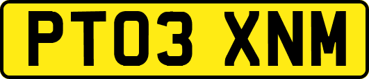 PT03XNM