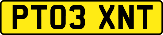 PT03XNT