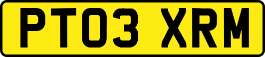 PT03XRM