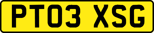 PT03XSG