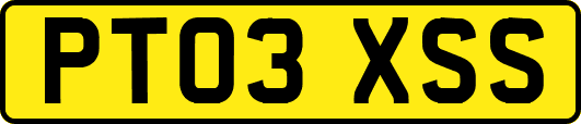 PT03XSS