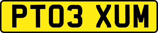 PT03XUM