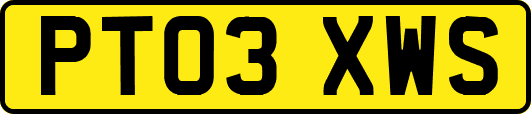 PT03XWS