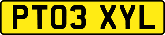 PT03XYL