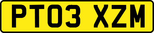 PT03XZM