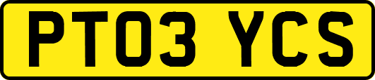PT03YCS