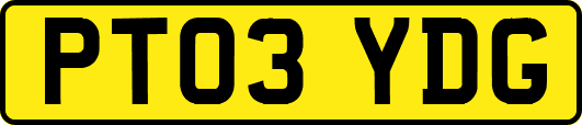 PT03YDG