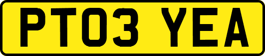 PT03YEA