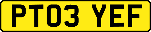 PT03YEF