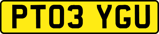 PT03YGU