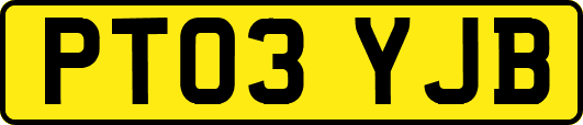 PT03YJB