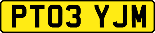 PT03YJM
