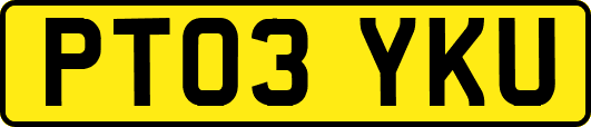 PT03YKU