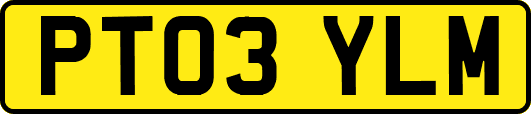 PT03YLM