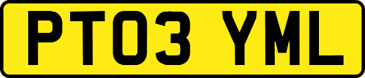 PT03YML