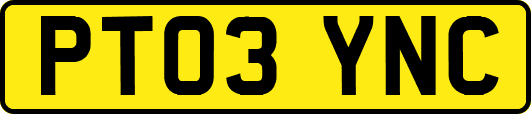PT03YNC
