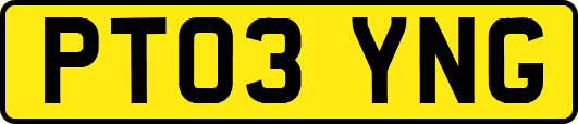 PT03YNG