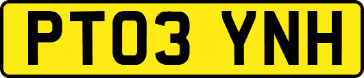 PT03YNH