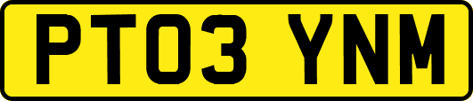 PT03YNM