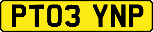 PT03YNP
