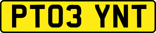 PT03YNT
