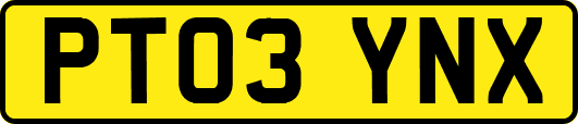 PT03YNX