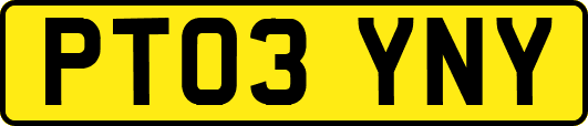 PT03YNY