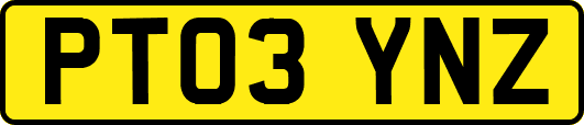 PT03YNZ