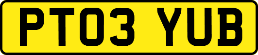 PT03YUB