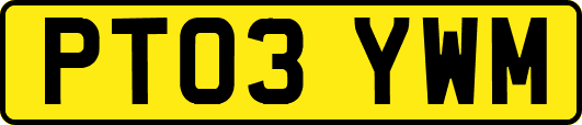 PT03YWM