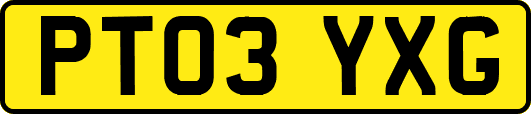 PT03YXG