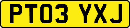 PT03YXJ