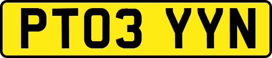 PT03YYN