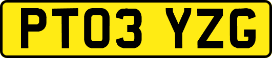 PT03YZG