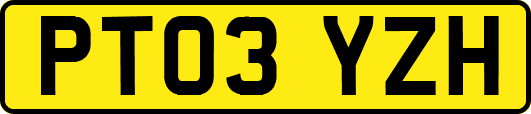 PT03YZH