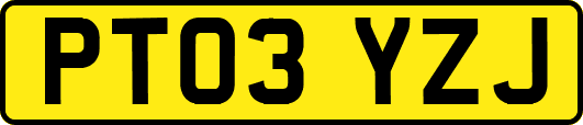 PT03YZJ