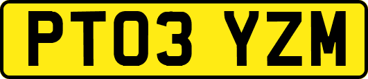 PT03YZM