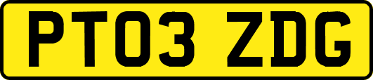 PT03ZDG