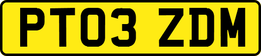 PT03ZDM