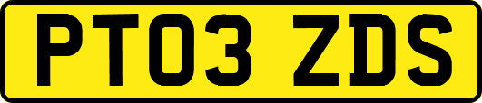 PT03ZDS